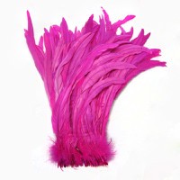 rose rooster feathers