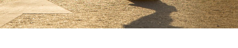 Fig. Image for content