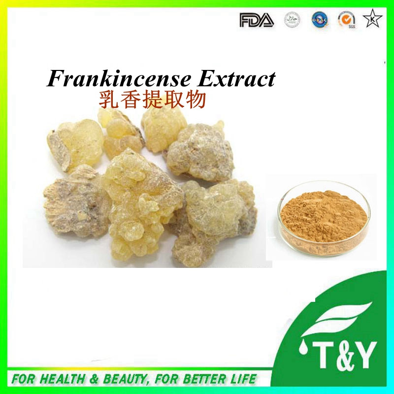 Wholesale competitive price 100% Natural Boswellia Serrata Extract(Frankincense extract) Boswellic acid powder 1000g/lot