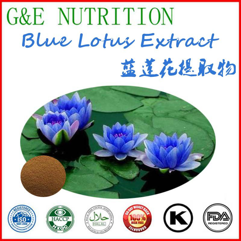 Herbal Lose Weight 100% natural Blue Lotus Leaf Extract Powder  700g