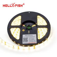 5m 300 LED 5630 LED strip SMD IP65 waterproof 12V flexible LED strip light 60 led/m  white/warm white
