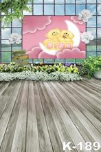 New ! 150x200cm Baby Moon Pink Photo Studio Photography Background Wood Floor Studio Stand Window Outdoor Blue Sky Backdrops