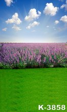 Photography Backdrops Garden Pretty Scenic Picture 150*200cm Photo Studio For Wedding/Children Green Light Background Wholesale