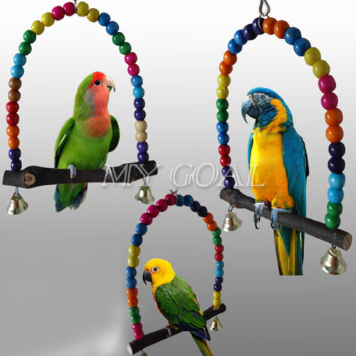         cockatiel       papegaaien speelgoed