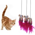 1pcs Funny Cat toy Cute Design Steel Wire Feather Teaser Wand Plastic Toy for Pet Cats