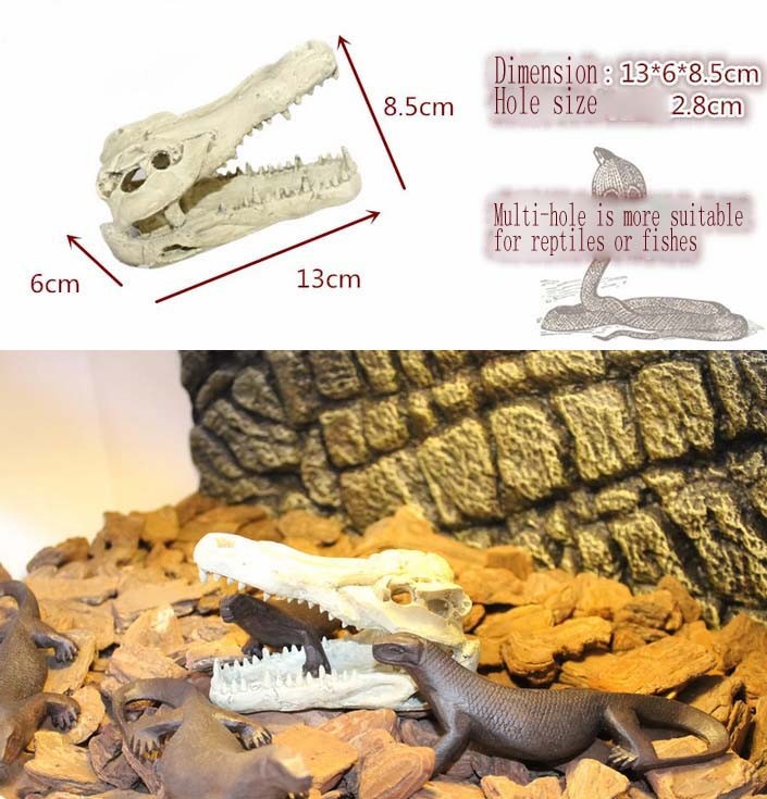 Exotic Environments Nile desert scenery rainforest, Crocodile Skull Aquarium Ornament, for reptile, tortoises or fish hiding11