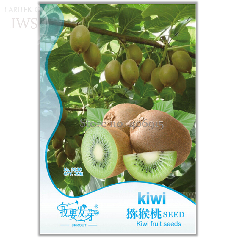 Actinidia Arguta Tree Nutritious Kiwifruit Seeds, Original pack, 30 Seeds, perennial bonsai fruit IWSD230