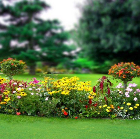 Fondos de jardines para fotografia - Imagui