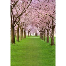 2016 Free shipping vintage 5x7ft vinyl backdrop backgrounds for photo studio children shooting Computer Painted Backdrops P0896