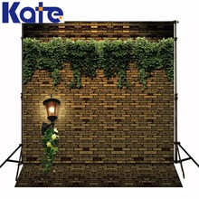 10*20feet(300*600CM) Photography Background Stonewall ivy lamp photo studio background wallpaper Free Shipping