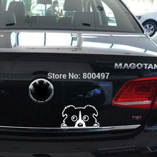 10 x Newest Design Car Styling Funny Border Collie Lovely Doggie Decal Decoration Decals for Tesla