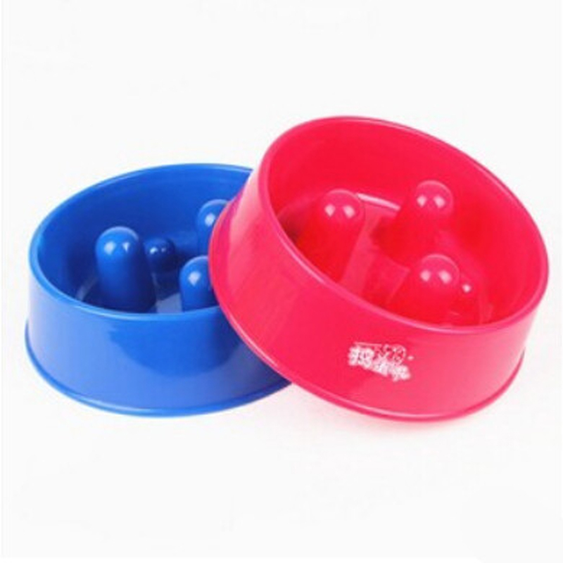 dakine network 26