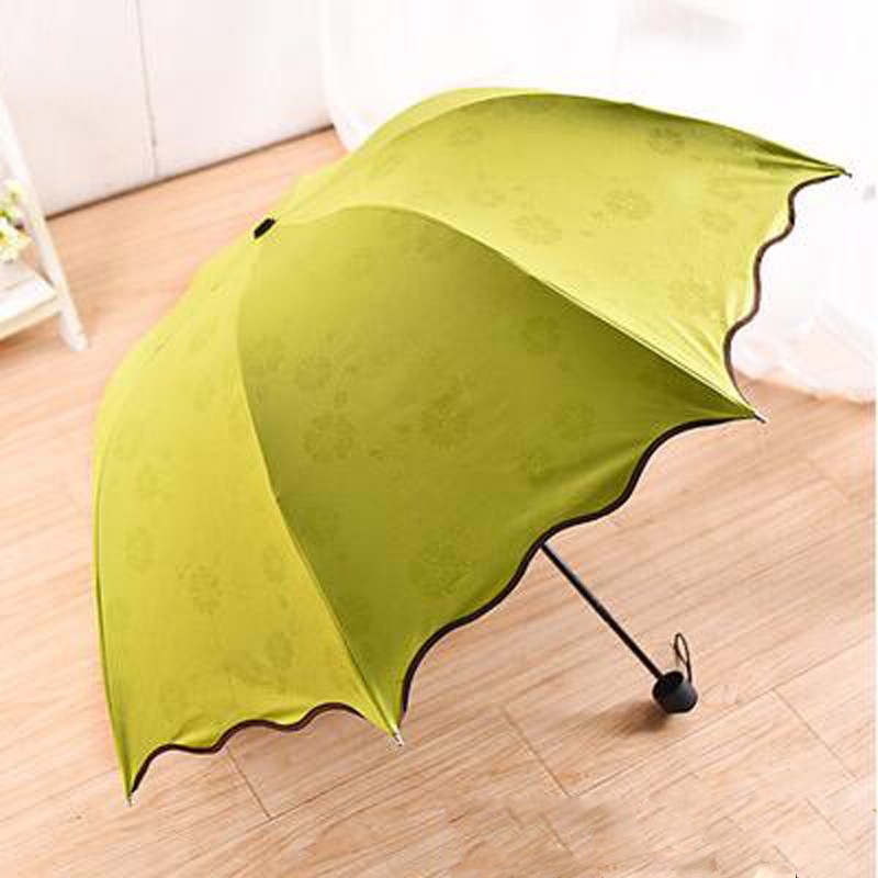 Umbrella-001-05