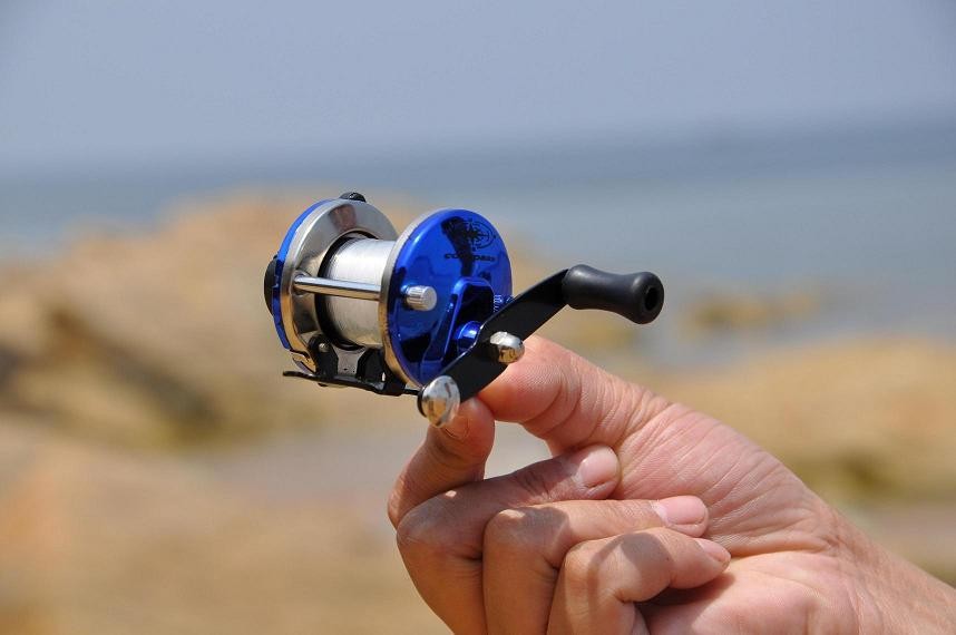 TB2X_YmaVXXXXXZXXXXXXXXXXXX-2093290969