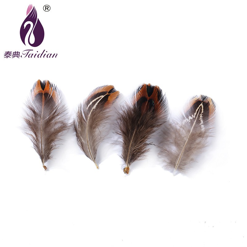 YM-025 Natural Feather 2-7cm Length Hot sale Pretty high quality