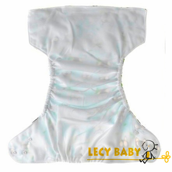 cloth diaper.jpg