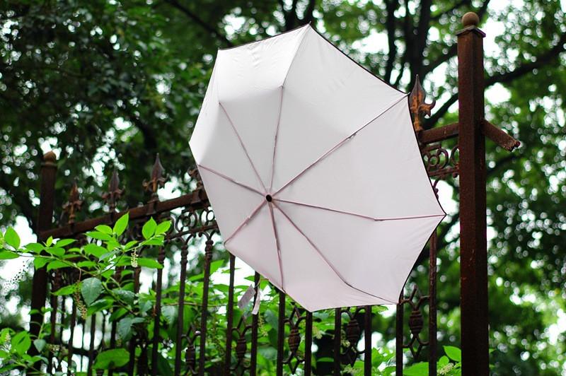 umbrella Paraguas parapluie17.jpg