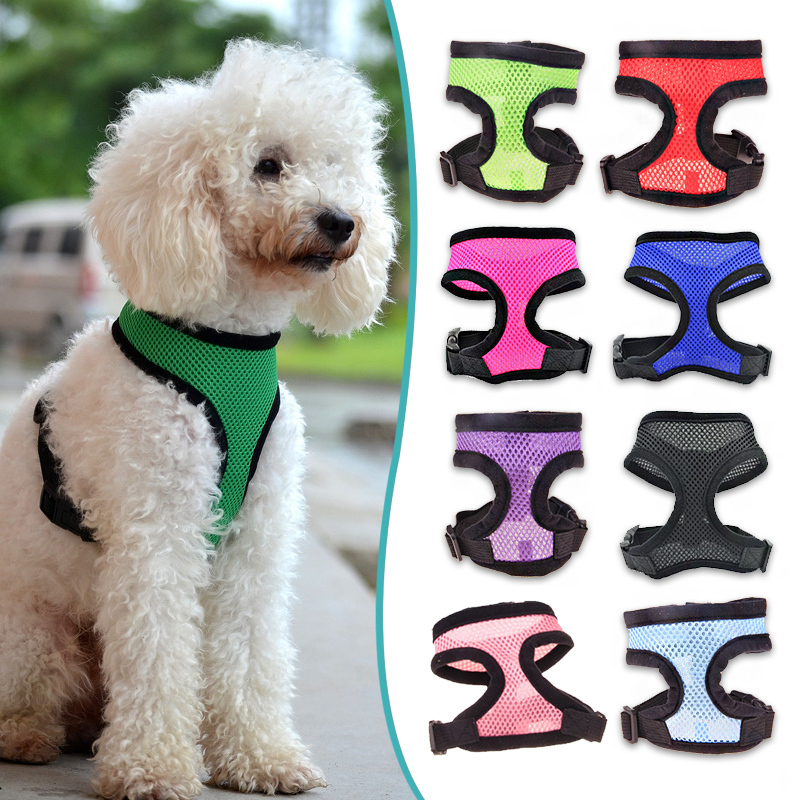 harness for small dogs small harnesses choosing harness for small dogs breeds picture harness for small dogs small harnesses choosing harness for small dogs breeds picture