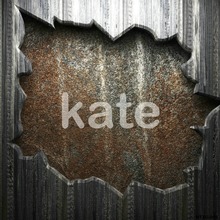 200CM*150CM Kate No Creases Photography Backdrops Vintage Wood Can Be Washed For Anybody Backdrops Photo Studio NTZC-056