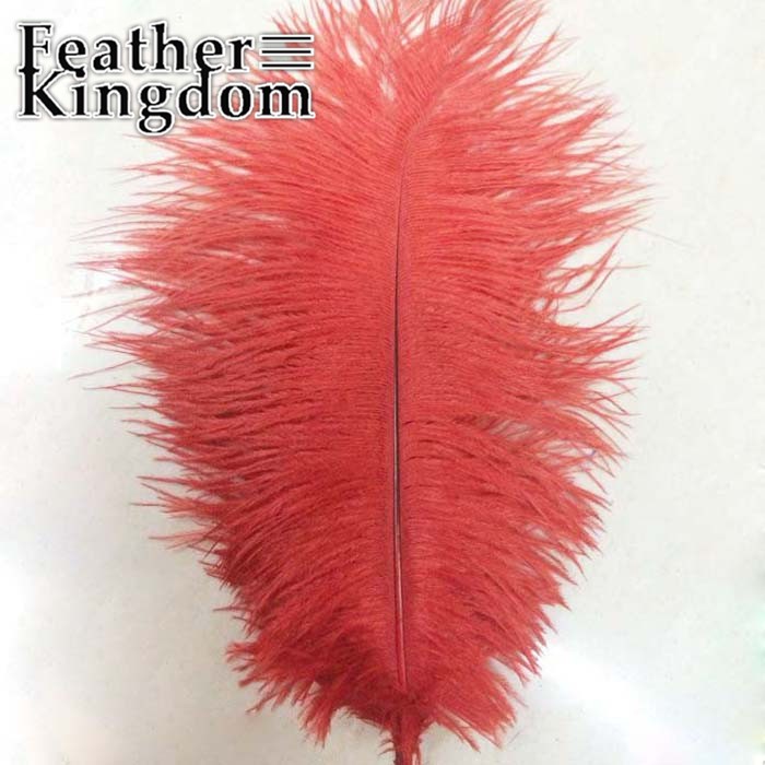 red ostrich feather