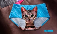 HTB1xEpcMFXXXXadXFXXq6xXFXXXK