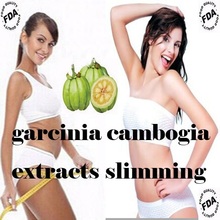 1 PACKS free shipping ABC garcinia cambogia extracts slimming cream Natural powerful weight loss herbal slimming