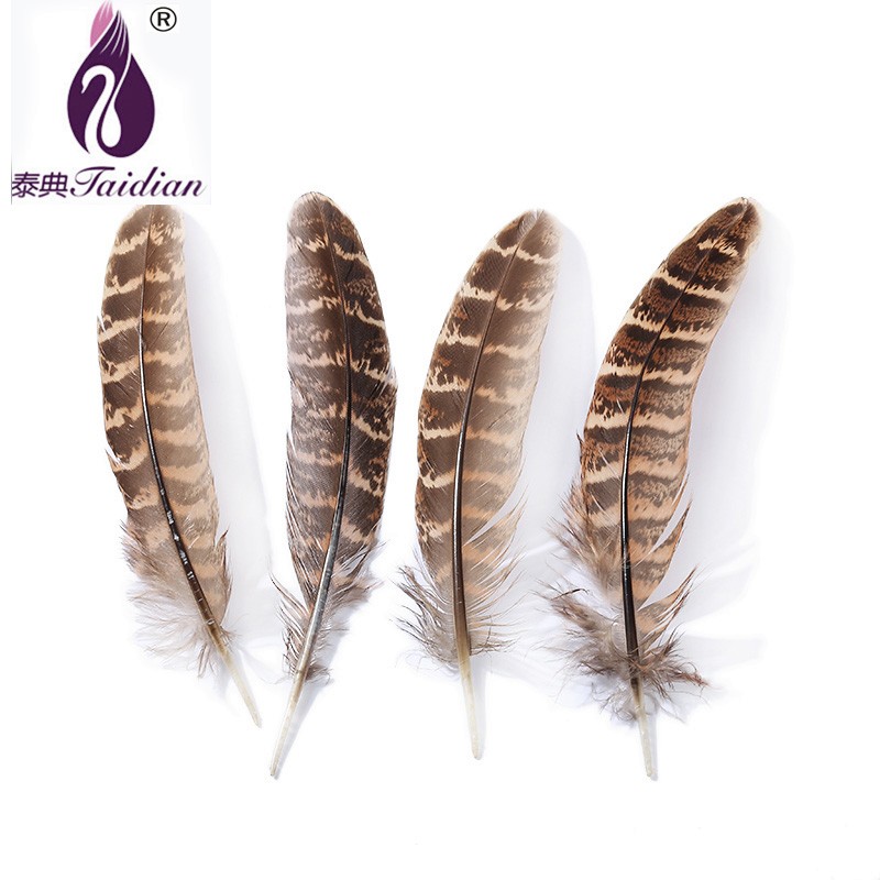 Pheasant Feathers Cheap Feathers Decorative Feathers Natural feathers Wedding party Feathers carnival feathers