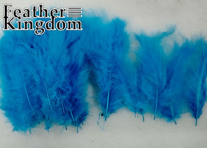 turquoise Turkey feather 1