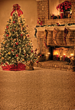 HUA Art fabric photography Christmas backdrop 5x7ft XT060