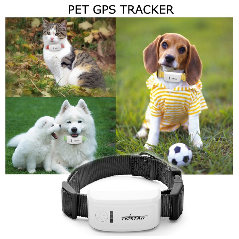 pet-gps-tracker-2