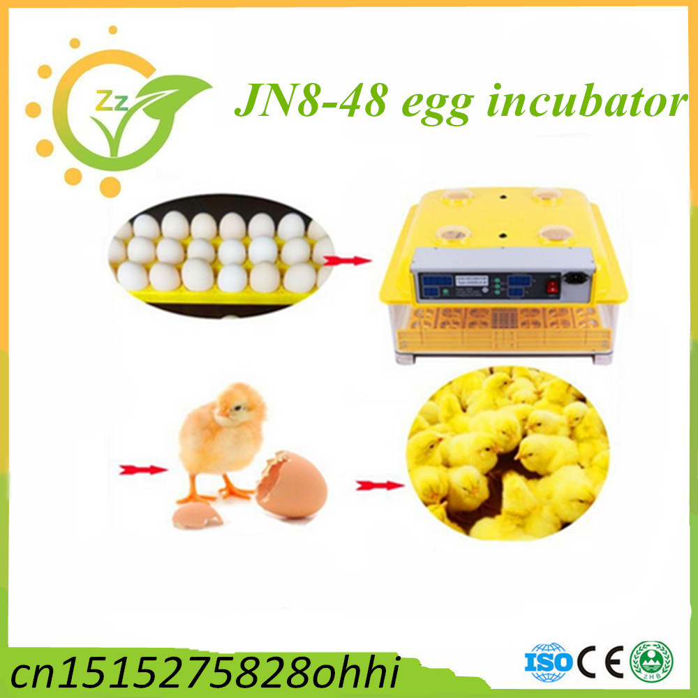  -shipping-mini-incubator-chicken-egg-incubator-hatching-machine.jpg