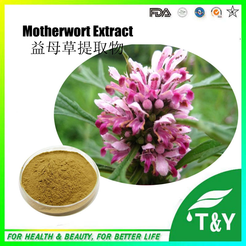 Hot sale! leonotis leonurus extract/motherwort extract/stachydrine 700g/lot
