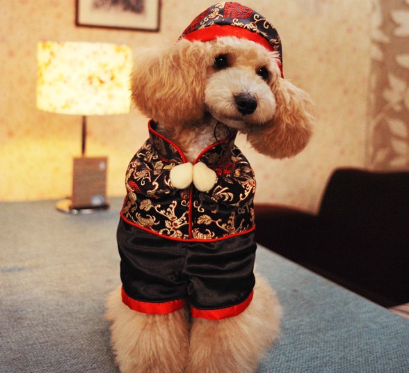 new year costumes for dogs buy pet clothes of new year new year costumes for dogs buy pet clothes of new year