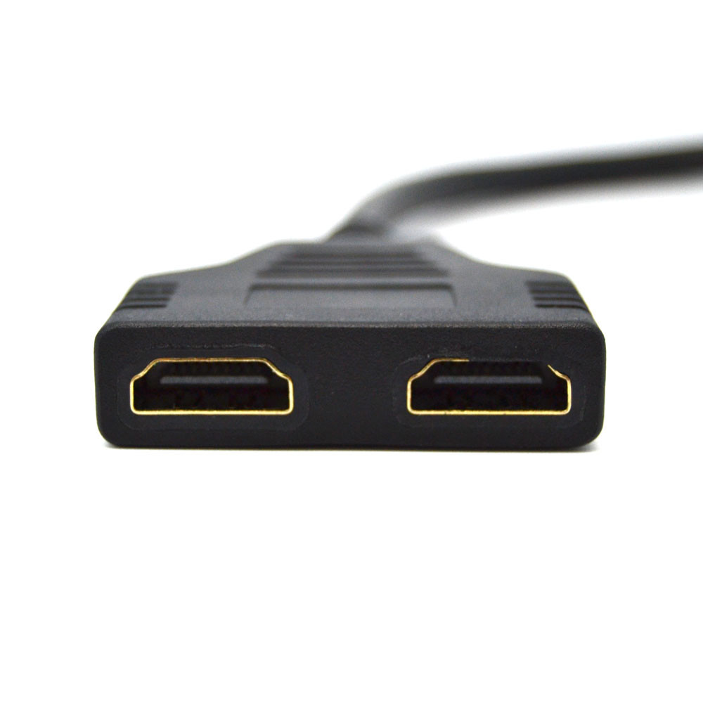 EB-101 (3)
