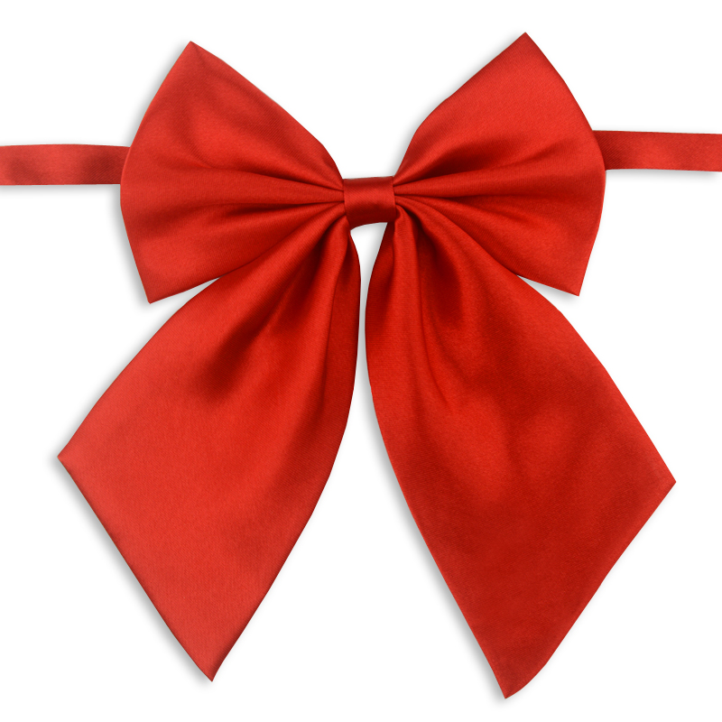 Shop by category A ribbon bow tie is the perfect way to dress up a little boy! Perfect for church, holidays and weddings! Only takes about 10 minutes to make!