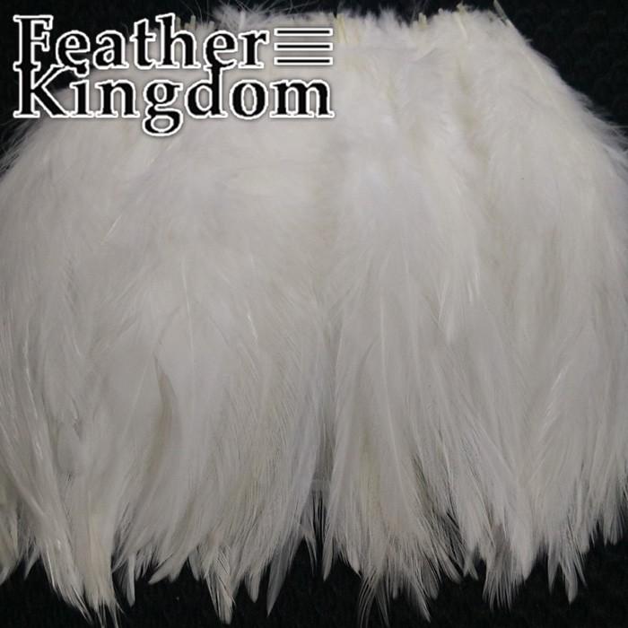 white chicken feather