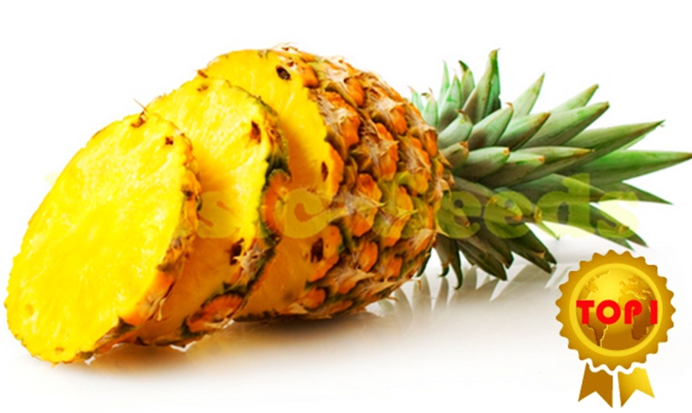 Pineapple Express Online Gratis Subtitulada