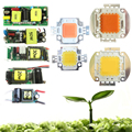 10W 20w 30w 50w 100w 45mil White Full Spectrum 380 780nm Full Spectrum 400 840nm LED