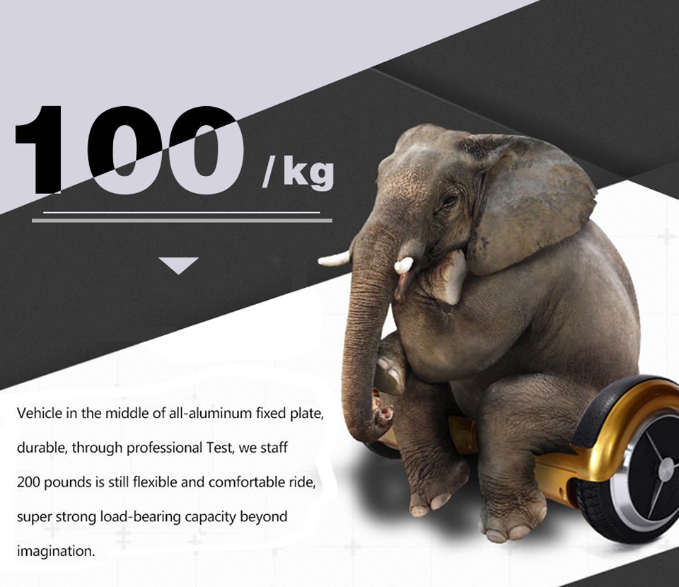 electric scooter (4)