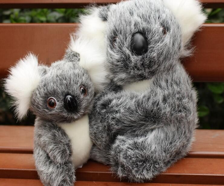 small koala teddy