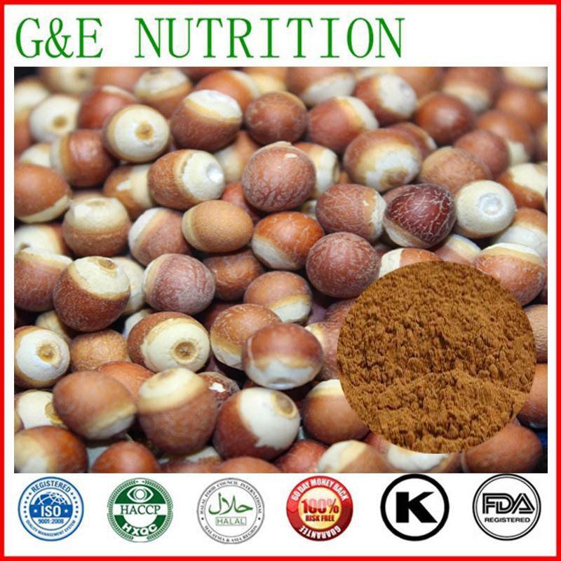 Factory supply 100% Pure Natural Gorgon fruit Extract Powder 800g