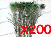 Pack of 200 pcs Natural Peacock Feather Tail 8″-11″ For Wedding Craft Earring,Eye Width 35mm,