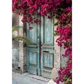 2016 Free shipping 5x7ft thin vinyl non washable Scenic Flower backdrop backgrounds Computer Painted Backdrops P0632