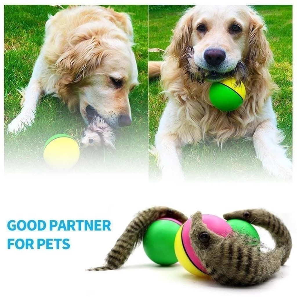 jumping dog toy