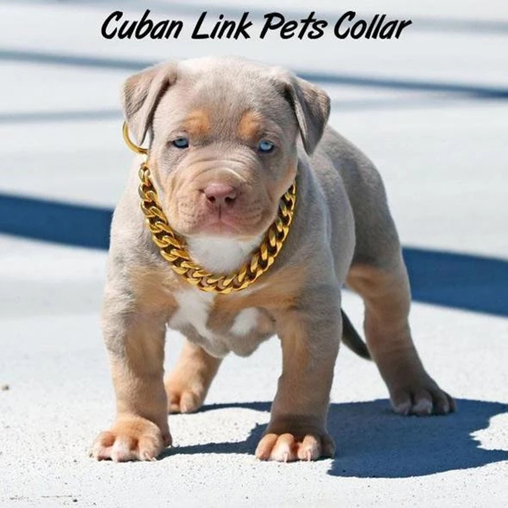 thick chain dog collars