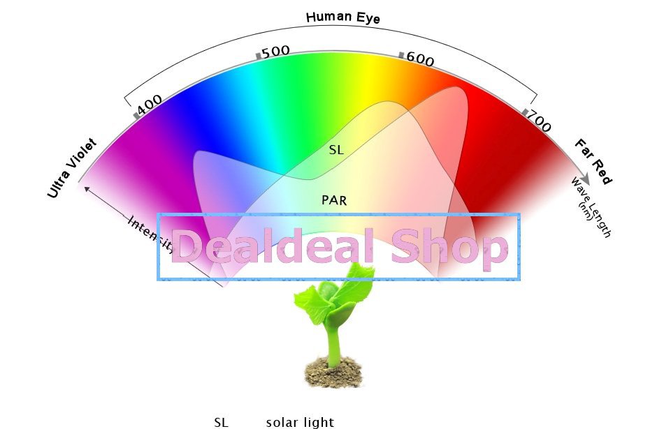 LEDs_apollo 6.jpg