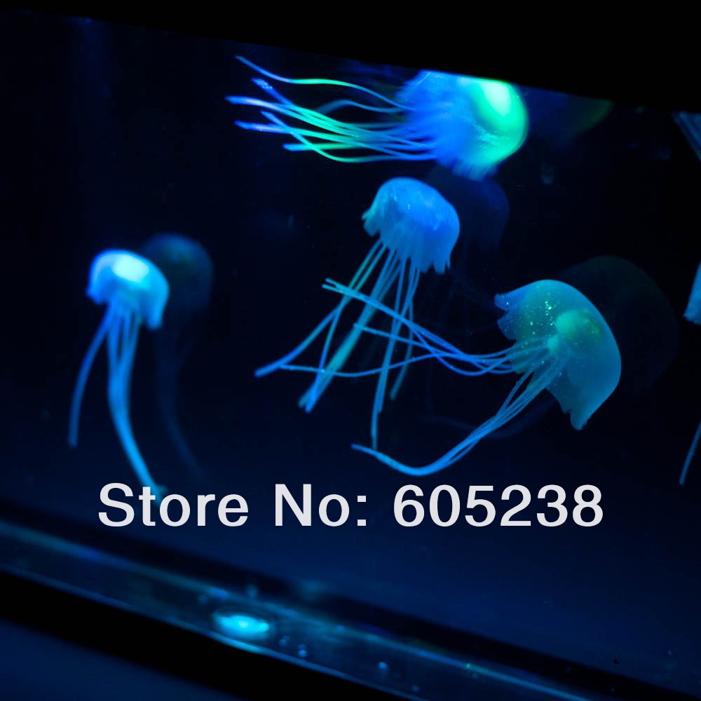 jelly-fish-tank-2.jpg