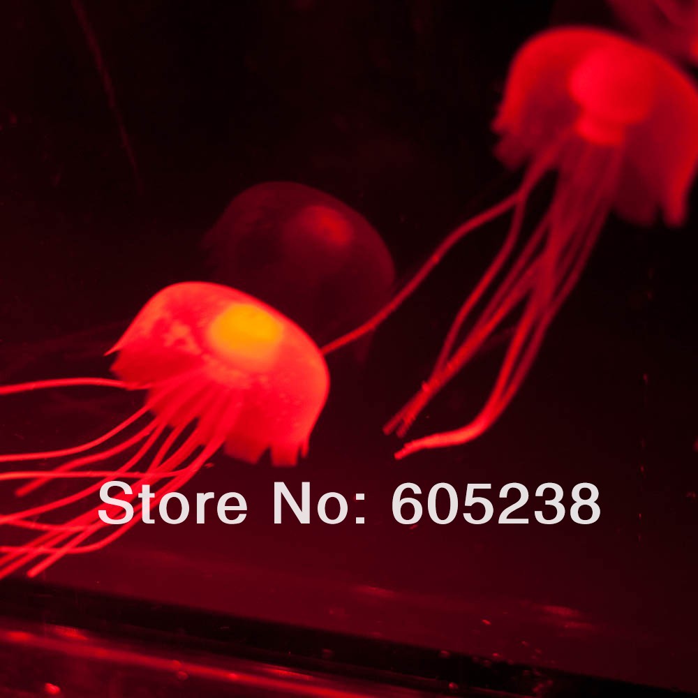 jelly-fish-tank-1-2.jpg