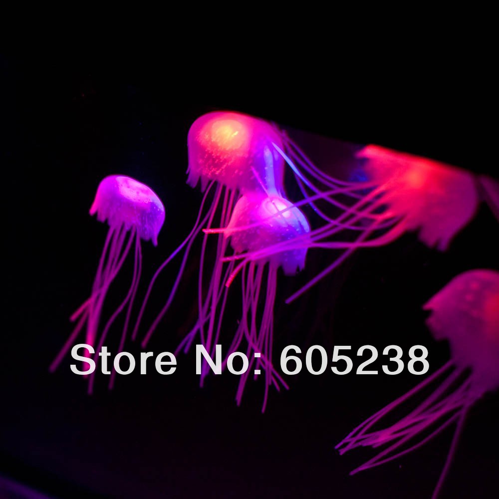 jelly-fish-tank-4.jpg