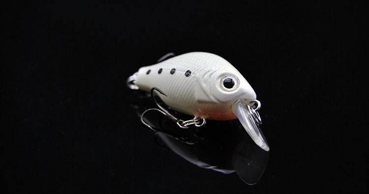 T2EgzdXdNcXXXXXXXX_!!1656485199